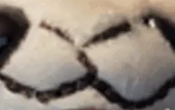 Furry Waifu Tier List 1